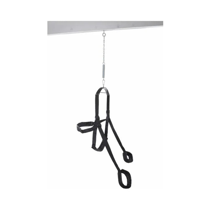 Pipedream Fetish Fantasy Series Fantasy Swing Black