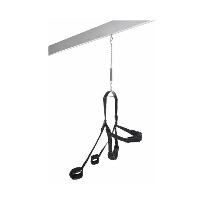Pipedream Fetish Fantasy Series Fantasy Swing Black