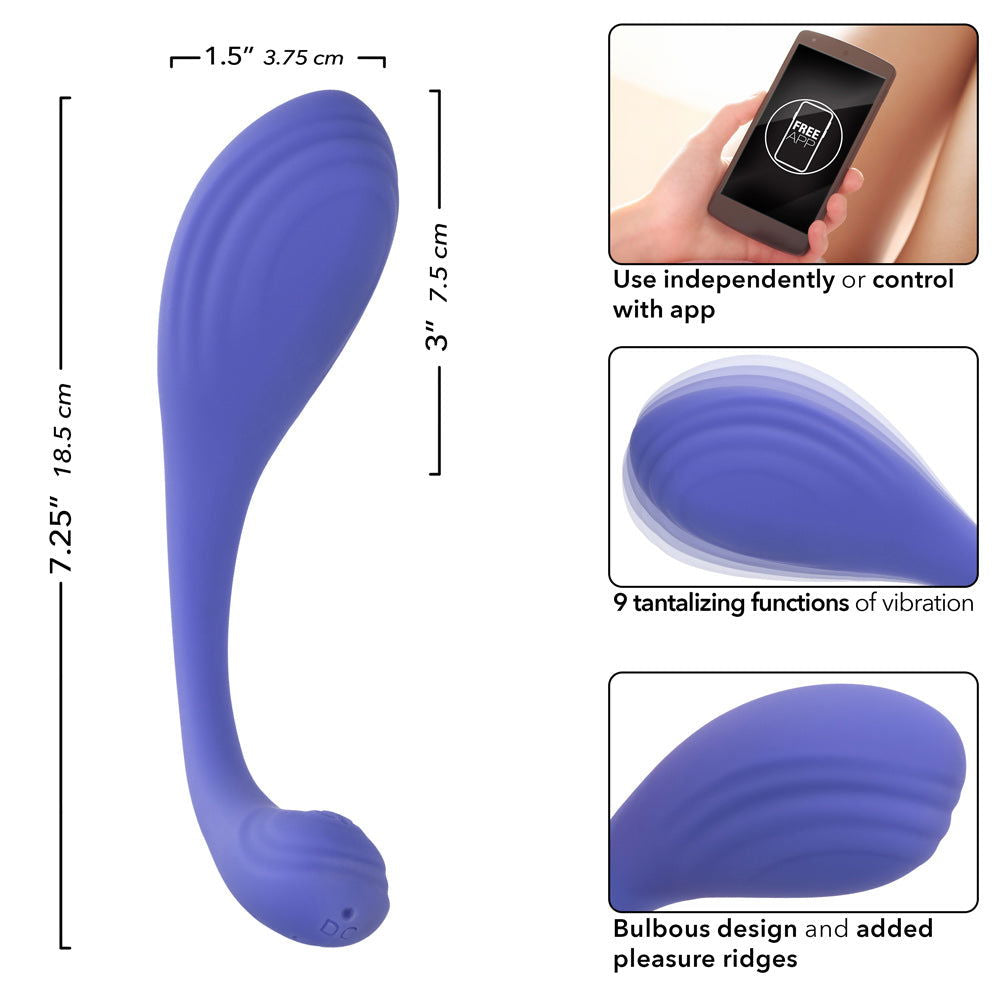Calexotics Connect Kegel Exerciser - Permissive -