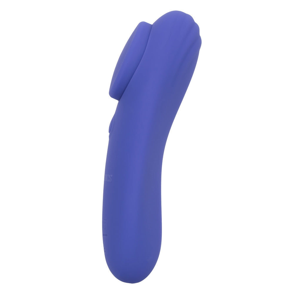 Calexotics Connect Panty Teaser - Permissive -